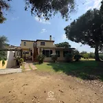 Tre Ulivi * Notteri