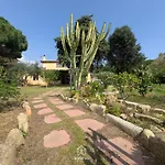 Tre Ulivi Notteri