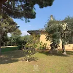 Tre Ulivi * Notteri