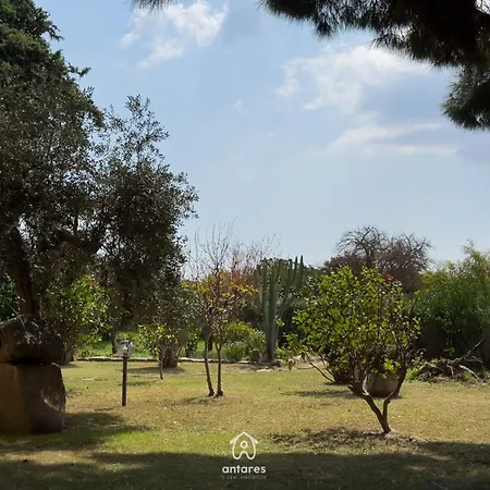 Hébergement de vacances Tre Ulivi *