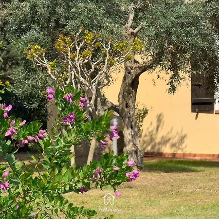 Hébergement de vacances Tre Ulivi